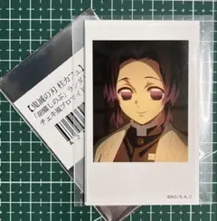 2026年最新】鬼滅の刃 胡蝶しのぶ ランダムチェキ風ブロマイドの人気