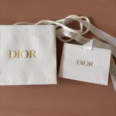 Dior 小型ショップ袋大小セット