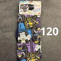 仮面ライダー ブリーフパンツ 120cm 2枚セット