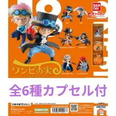 2026年最新】ワンピの実第八海戦の人気アイテム - メルカリ