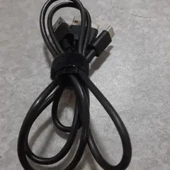 USB A/Cケーブル 黒 2こセット