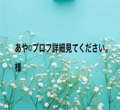 あや☺︎プロフ詳細見てください。様専用出品になります。
