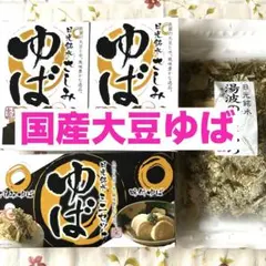 No.1 岩手雫石町産 天然 タラの芽、コゴミセット 400g - メルカリ