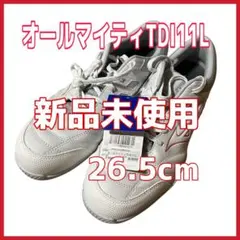 2026年最新】mizuno ミズノ 安全靴オールマイティーTD22Lの人気