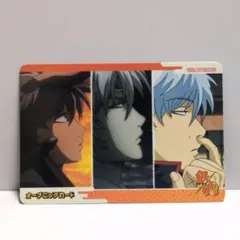 銀魂　オープニングカード　坂田銀時　神楽　土方十四郎　桂小太郎　幼少期　グッズ 銀魂 カード 坂田銀時 神楽 新八 土方十四郎 桂小太郎 高杉晋助