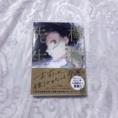 薔薇王の葬列　月刊プリンセス付録 まとめ売り 新品 未開封！月刊プリンセス付録 薔薇王の葬列 コレクションキャラ
