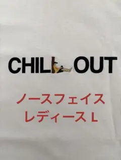 希少　ノースフェイス　stitch mark tee レディース Lのサムネイル