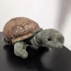 ナショナルジオグラフィック　ガラパゴスゾウガメぬいぐるみ　リクガメ　カメ　18㎝