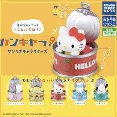 サンリオキャラクターズ カンキャラ！ シナモロール