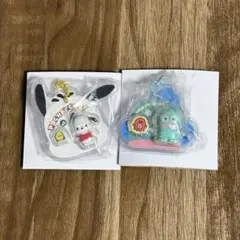 【即日発送】サンリオキャラクターズ パッケージチャーム セット