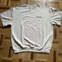 Dickies Tシャツ ベージュ 刺繍ロゴ Lサイズのサムネイル