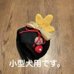 小型犬用、お雛様の被り物、ひな祭り