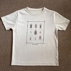 mont-bell 昆虫プリント Tシャツ 120㎝