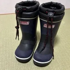 Item thumbnail for item fa0deae9-4bc9-4d4e-b239-d1e7e69352f2