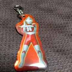 htm.n様専用限定価格　オールヒーローズチャームコレクション ゾフィー