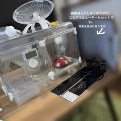 GEX 小動物用ガラスケージ セット　＋パネルヒーター2種　ハムスターのサムネイル