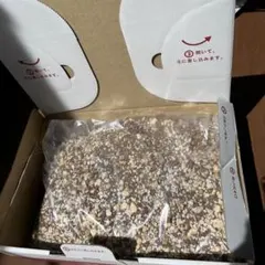 다육식물용 토양 500g