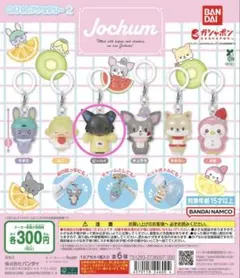 JOCHUM めじるしアクセサリー2 【ピーハイ】