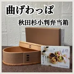 Item thumbnail for item 4cbf2dff-8d9f-46b3-b905-84523db32119