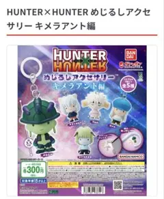 ハンターハンター　めじるしアクセサリー