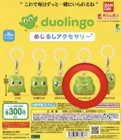 duolingo めじるしアクセサリー シワシワデュオ