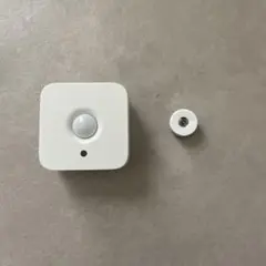 Item thumbnail for item 14d21594-cb7e-4e32-8546-c870457b8b02