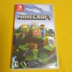 Minecraft　Nintendo Switch