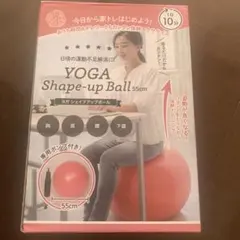 【匿名発送】YOGA Shape-up Ball 55cm