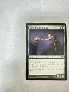 2026年最新】花を手入れする者 MTG の人気アイテム - メルカリ