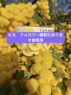たろ　フォロワー様割引あります様専用