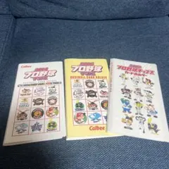 カルビー 14年、16年、18年 プロ野球チップス カードホルダー 3冊セット