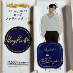 StrayKids チャンビン まとめ売り セット アクスタ 2025年最新】メンバー名：チャンビン アクリルスタンドの人気