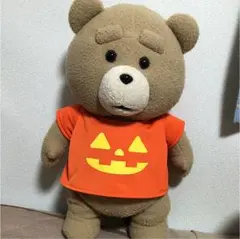 TED  ぬいぐるみ