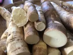 徳之島産キャッサバ生芋イエロー5キロ入り - メルカリ