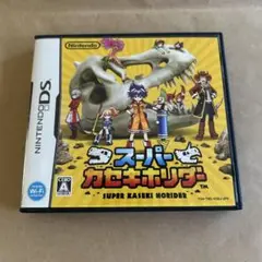 【動作確認済み】スーパーカセキホリダー™ ニンテンドーDS