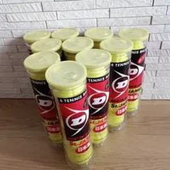 DUNLOP St JAMES 硬式テニスボール　新品未使用　10缶　送料込み