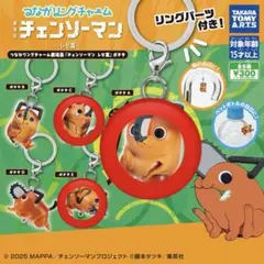 つながリングチャーム　チェンソーマンポチタ　ACEセット