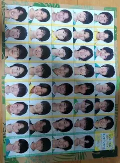 ジャニーズJrメッセージカード　2023年10月号Myojo