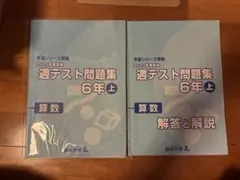 2026年最新】四谷大塚 予習シリーズ 裁断済の人気アイテム - メルカリ