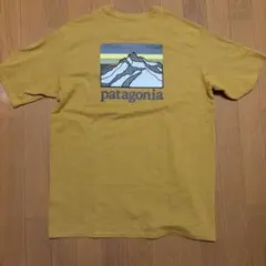 patagonia パタゴニア Tシャツ イエロー