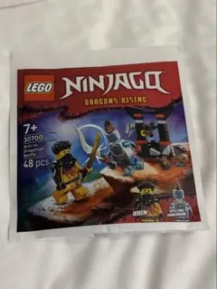 LEGO Ninjago Dragons Rising