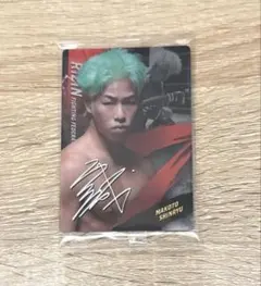 Item thumbnail for item 2345a8fa-0915-44d5-a7e2-50c2b6b85a67