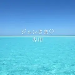 ジュンさま専用ページ♡