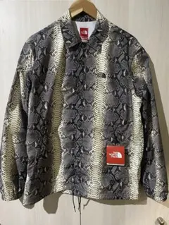 Item thumbnail for item c132a81f-8569-4b8c-96ae-7b281b1b14f4