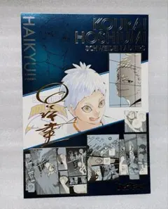ハイキュー!! 原画展FINAL 箔押しイラストカードコレクション 星海光来