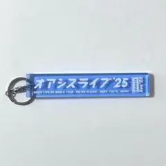 新品　未開封　oasis live '25 東京　 フライトタグ　キーホルダー フライトタグキーホルダー | Oasis Live '25 JAPAN : オアシス来日記念