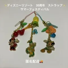東京ディズニーリゾート　キーホルダー　ストラップ　イヤホンジャック　30周年