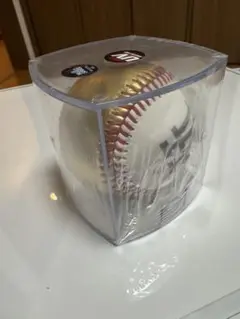 2024 MLB LAドジャースチャンピオンボール