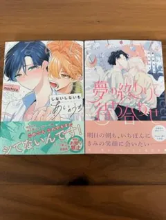 2026年最新】blまとめ売りの人気アイテム - メルカリ