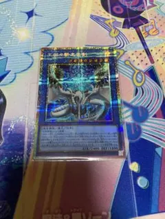 たっちゃん様 リクエスト 3点 まとめ商品